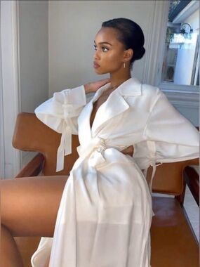 Babaton Trench Wrap Dress/Coat